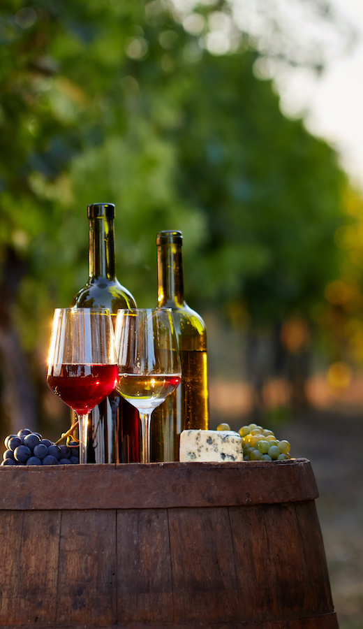 mornington peninsula winery tours